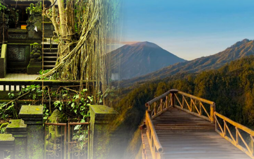 Ubud & Kintamani & Tanah Lot tample  ( Culture & Panoramic View )